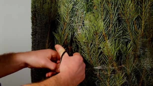 Christmas Tree Unpacking Process Hands Cut Wrapped Mesh Christmas Tree — Stockvideo