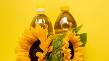 Sunflower oil. Oil bottles and sunflowers blooming on a bright yellow background.Organic natural farm sunflower oil. Edible oils.top view, copy space. 