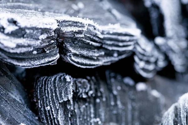 Coal Frost Background Frozen Coal Texture Heating Season First Frosts — Photo