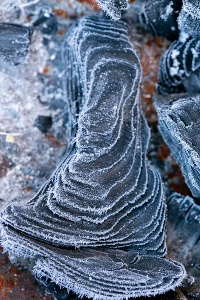 Coal Frost Background Frozen Coal Texture Heating Season First Frosts — Foto Stock