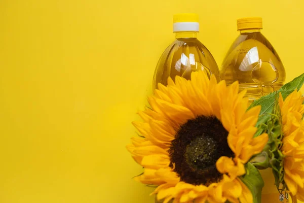 Sunflower oil. Oil bottles and sunflowers blooming on a bright yellow background.Organic farm sunflower oil. Edible oils.top view, copy space.