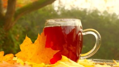 Autumn tea.Steam over a mug of hot tea. Hot tea in a transparent mug in the garden on a sunny autumn day. Cozy tea party in the autumn garden. 4k footage