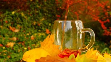 Autumn tea.Hot tea poured in a transparent mug.slow motion. Tea drinking in the garden on a sunny autumn day. mugs with hot drink and pumpkins with maple leaves in a garden. 4k footage