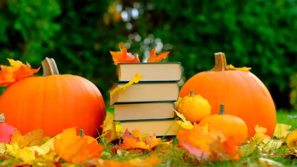 Start School College Season Yellow Leaves Fall Books Study Education — Stockvideo