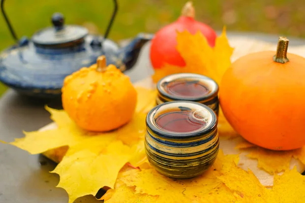Teapot Two Striped Cups Garden Sunny Autumn Day Mugs Hot — Stockfoto
