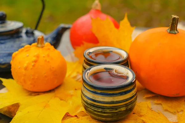 Tea Drinking Teapot Two Striped Cups Garden Sunny Autumn Day — Stockfoto