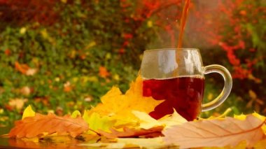 Hot tea is poured into transparent mug.Tea drinking in the garden on a sunny autumn day. mugs with hot drink with maple leaves in a autumn garden. 4k footage