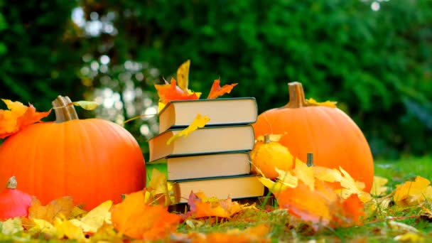 Books Autumn Theme Back School Halloween Books Yellow Leaves Fall — 图库视频影像