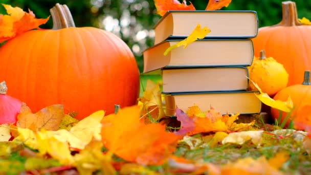 Back School Stack Books Maple Orange Leaves Pumpkins Set Start — Stockvideo