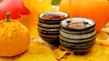Tea drinking in the garden on a sunny day.Hot tea is poured in mugs. Autumn tea. 4k footage
