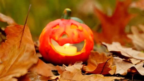 Jack Pumpkin Lantern Lit Candle Slowly Falling Autumn Leaves Halloween — Vídeos de Stock