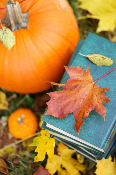 stack of books,maple leaves and pumpkins in autumn garden.autum Books.Back to school.Halloween Books.Study and education concept. Autumn cozy reading.Start school and college season