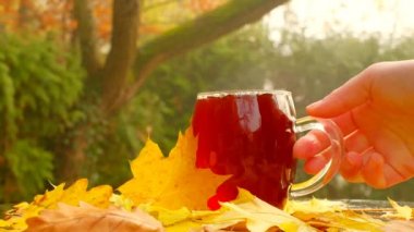 Autumn tea.hand takes a mug of tea. Slow motion.Tea drinking in the garden on a sunny autumn day.Steam over a mug of hot tea. mugs with hot drink with maple leaves in a autumn garden. 4k footage