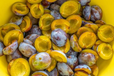 plum abundance . Plum halves background. Juicy pulp of plums texture. Farm organic bio fruits.Plums harvest.Plum jam preparation.
