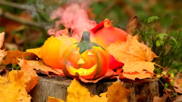 Halloween Jack Lantern Sparks Smoke Mystical Pumpkin Smoke Forest Burning — Stockvideo