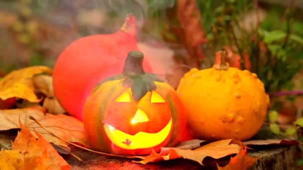 Halloween Burning Pumpkin Jack Lantern Sparks Smoke Background High Quality — Vídeo de stock