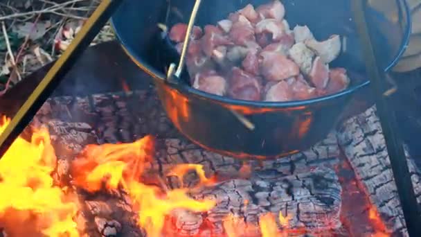 Meat Cauldron Wood Fire Cauldron Food Meat Pieces Cauldron Burning — Stockvideo