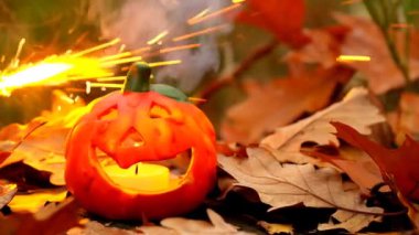 Halloween season. Burning Jack lantern.Pumpkin, brown leaves on stump. High quality 4k footage