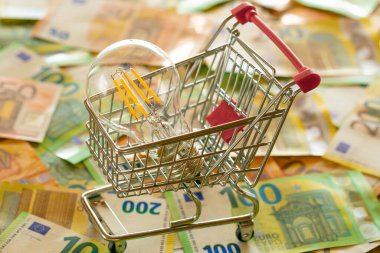 Rising electricity prices in Europe. Light bulb in a shopping cart,euro bills.Electricity cost. Electricity bills. Crisis of energy production in the EU countries.Saving electricity concept
