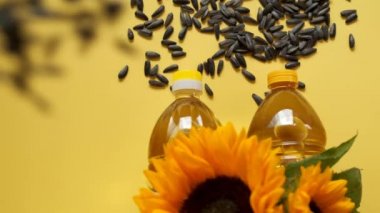 sunflower seeds fall on Oil bottles on a yellow background.Sunflower oil. Organic natural farm sunflower oil. 4k footage