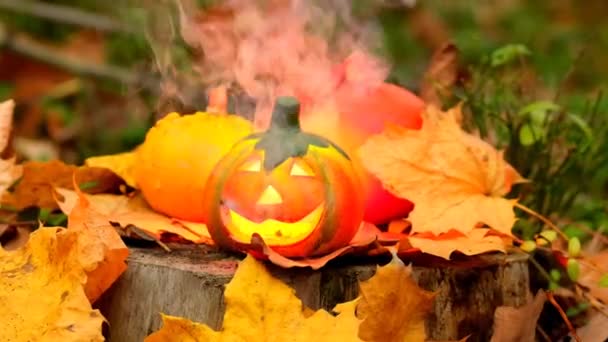 Halloween Jack Lantern Sparks Smoke Mystical Pumpkin Smoke Forest Burning — Αρχείο Βίντεο