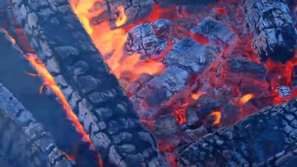 Bonfire Burnt Firewood Flame Texture Tongues Flame Sparks Close Firewood — Vídeos de Stock