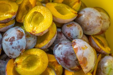 Plums harvest.Plum halves background.Yellow pulp of fruits. pulp texture.Farm organic bio fruits.Plums harvest.Plum jam preparation 