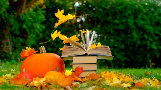 Books Maple Orange Leaves Pumpkins Back School Autumn Thematic Reading — Wideo stockowe