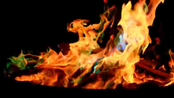 Разноцветный Flame Magical Цветной Flame Halloween Костер Разноцветное Пламя Яркие — стоковое видео