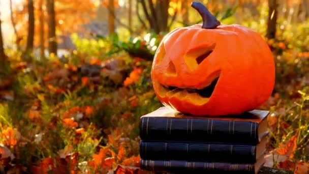 Halloween Böcker Och Pumpa Jack Lykta Solig Höstskog Halloween Berättelser — Stockvideo