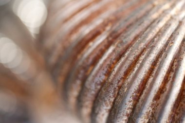  Metalik paslı yüzey. Parlak yüzey. Paslı, köhne metal zemin. Paslı..