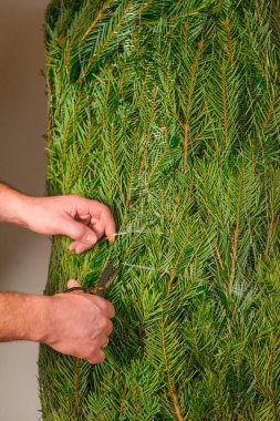 Noel zamanı. Eller çam ağacının koruyucu ağını keser. Yeşil kabarık kozalaklı ağaç. Yılbaşı ağacı açma işlemi. Noel ağacı alıp dikmek. Şenlik ritüeli.. 