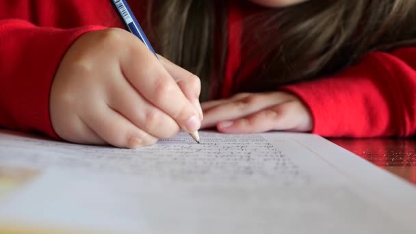 Homework Study Istruzione Concept Schoolgirl Suoi Compiti Filmati — Video Stock