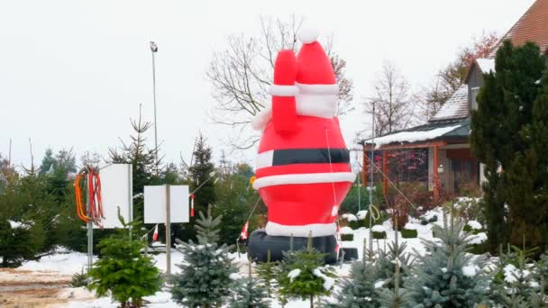 圣诞树市场和圣诞老人的形象 购买和选择圣诞树过冬 4K镜头 — 图库视频影像