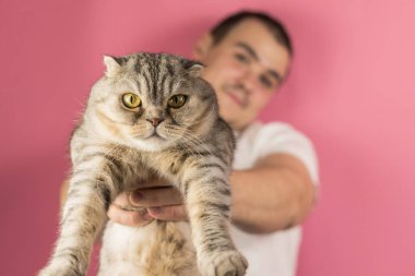Bir adam elinde bir kedi tutuyor. Pembe arka planda bir adam İskoç bir kediyi kol mesafesinde tutar. Şişko, komik, tüylü kedisi olan bir adam.