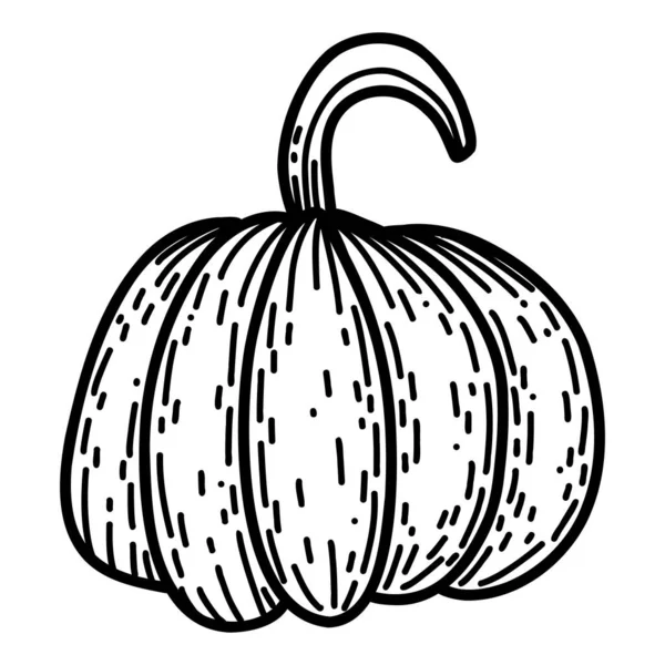 Calabaza en estilo garabato dibujado a mano. Ilustración lineal del vector otoñal — Archivo Imágenes Vectoriales