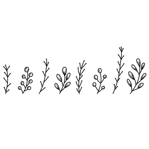 Bloemenelementen in handgetekende doodle stijl. Planten takken lineaire illustratie — Stockvector