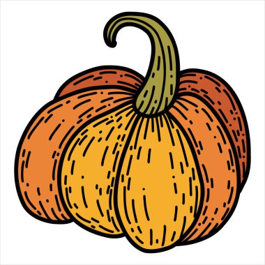 Elle çizilmiş balkabağı gibi. Doğrusal sonbahar vektör çizimi