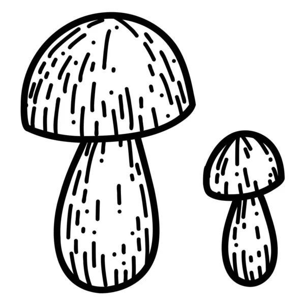 Champignon en style gribouillé dessiné à la main. Illustration vectorielle linéaire d'automne — Image vectorielle