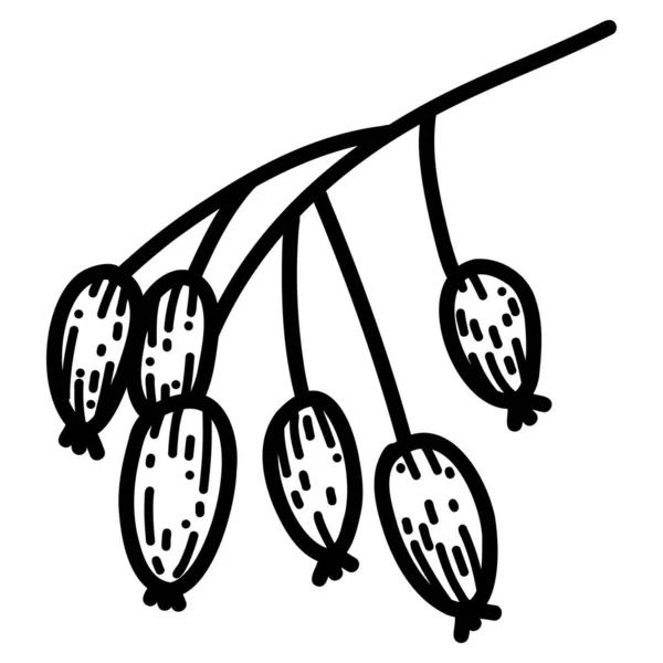 Illustration vectorielle de la cynorrhodon dessinée à la main — Image vectorielle