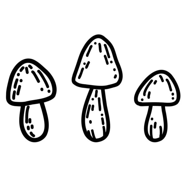 Champignon en style gribouillé dessiné à la main. Illustration vectorielle linéaire d'automne — Image vectorielle