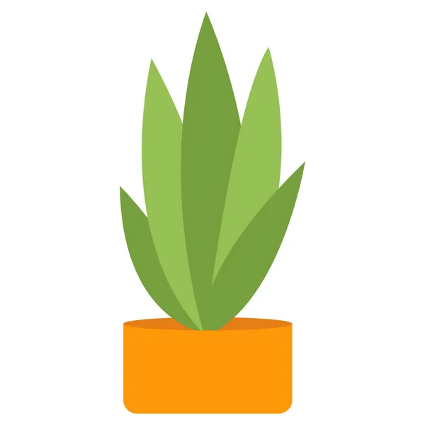 Pflanze im orangefarbenen Blumentopf isoliert auf weißem Hintergrund — Stockvektor