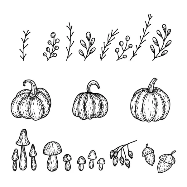 Set van pompoen, takken, paddestoel, rozenbottel, eikel in handgetekende doodle stijl. Lineaire herfst vector illustratie — Stockvector