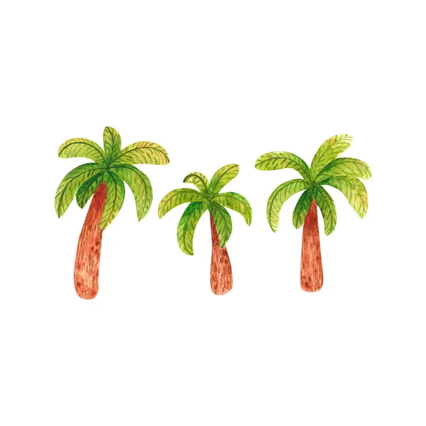 Hand drawn watercolor illustration of palm trees in cartoon style isolated on white background. tropical trees — Stock Photo, Image