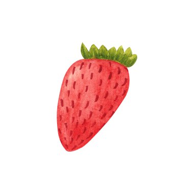 Beyaz arka planda el yapımı suluboya çilek. Baskı, kart, çıkartma, tekstil tasarımı, ürün ambalajı için taze yaz meyvesi