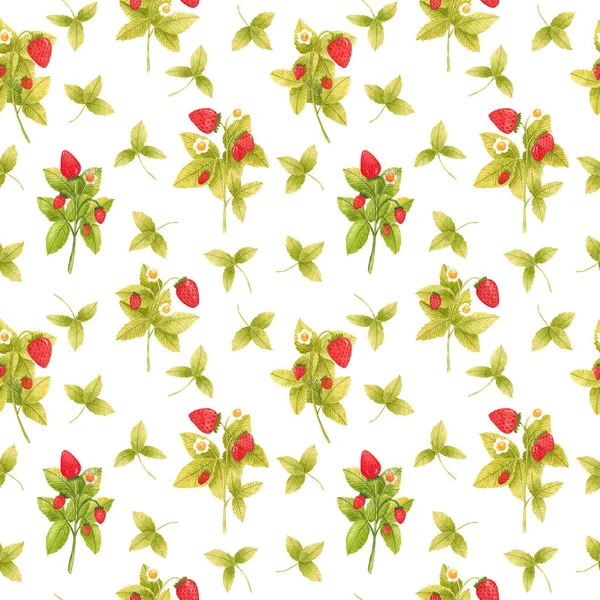 Acuarela dibujada a mano patrón sin costuras fresa sobre fondo blanco. Frescas bayas de verano con hojas y flores fondo de pantalla —  Fotos de Stock