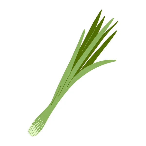 Vector illustration of green fresh onion in cartoon flat style. Fresh vegetable, healthy vegan food — Stok Vektör