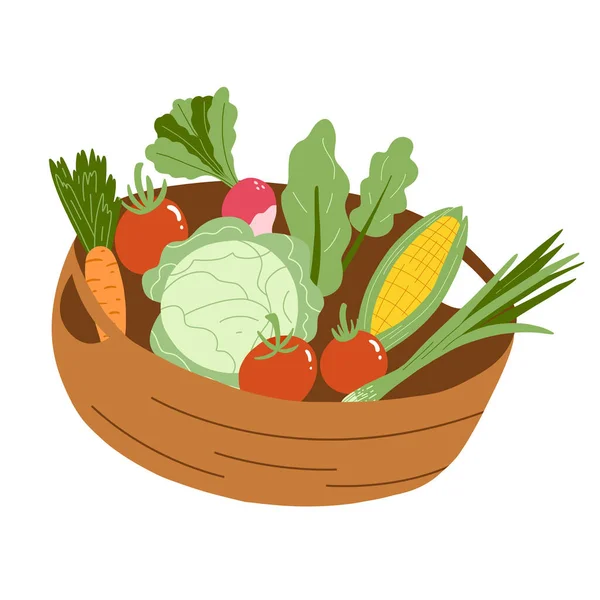 Vector illustration of basket with vegetables in flat hand drawn style. Tomato, carrot, salad, corn, radish. Organic healthy food — Stockvektor