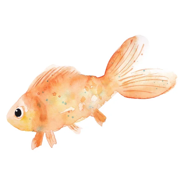 Hand Drawn Watercolor Goldfish Illustration Isolated White Background Carp Fish — Foto Stock