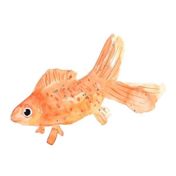 Hand drawn watercolor goldfish illustration isolated on white background. Carp fish pet clipart for greeting cards, logo, kids design, print.